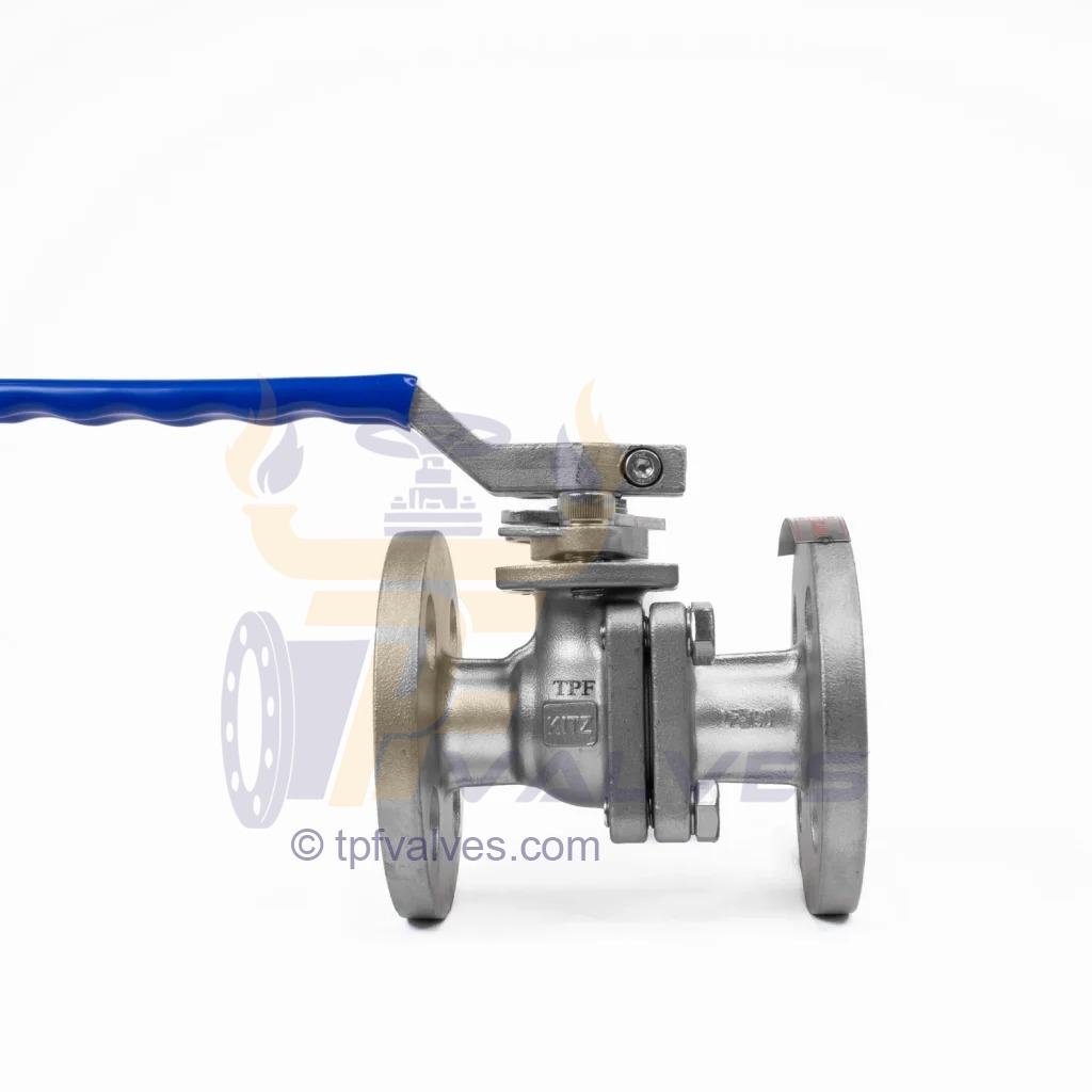 304 1 2inch Flanged steel ball 4