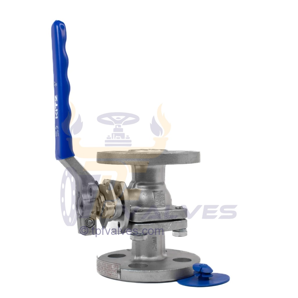 304 11 2inch Flanged steel ball 1